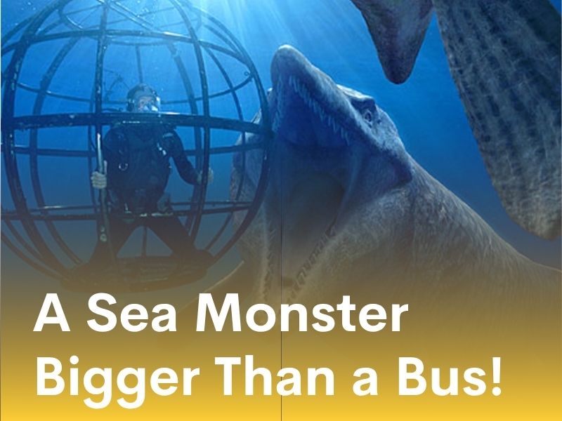 A Sea Monster Bigger Than a Bus!